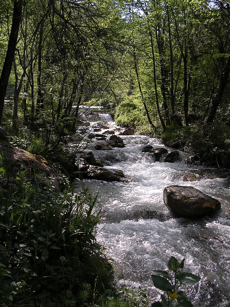 Ambro Creek